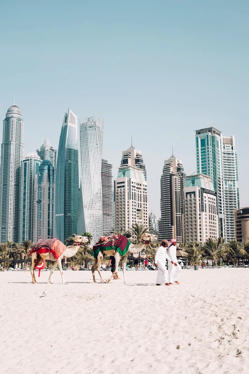 Opulența din Dubai este recunoscută peste tot în lume. Sursa foto:  Fredrik Öhlander/UnSplash