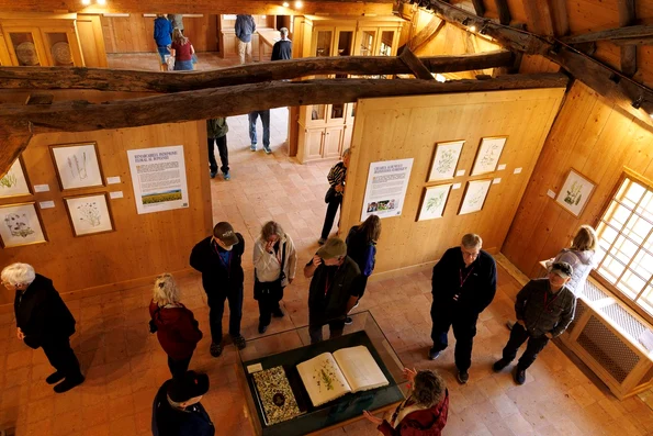 Expoziția „Maria: Regina artistă. Un dialog pe teme florale”, la Casa Regelui Charles al III-lea din Viscri