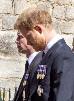 3 profimedia harry3 jpg jpeg