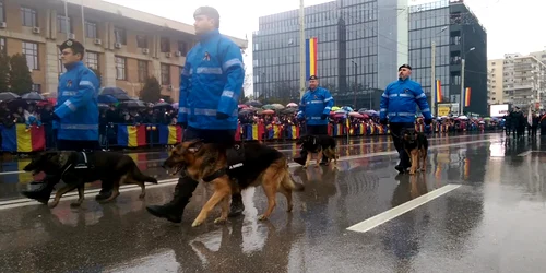 5a2145e65ab6550cb8bb8455 jpg