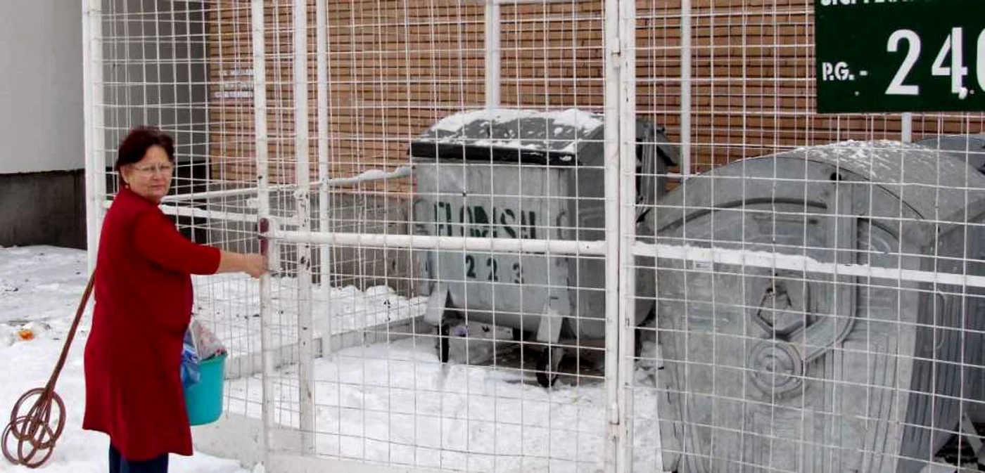 Lucia Matei spune şi-ar fi dorit să arunce gunoiul în eurocontainere
