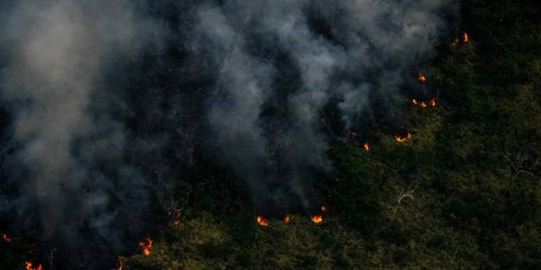 incendiu amazonia sursa foto greenpeace via newsro