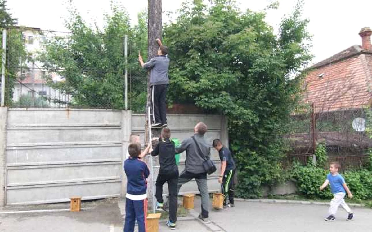 Copiii, învăţaţi să aibă grijă de păsări FOTO SOR