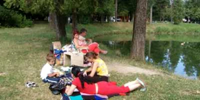 Ploieşti: La pas până la Parcul Bucov