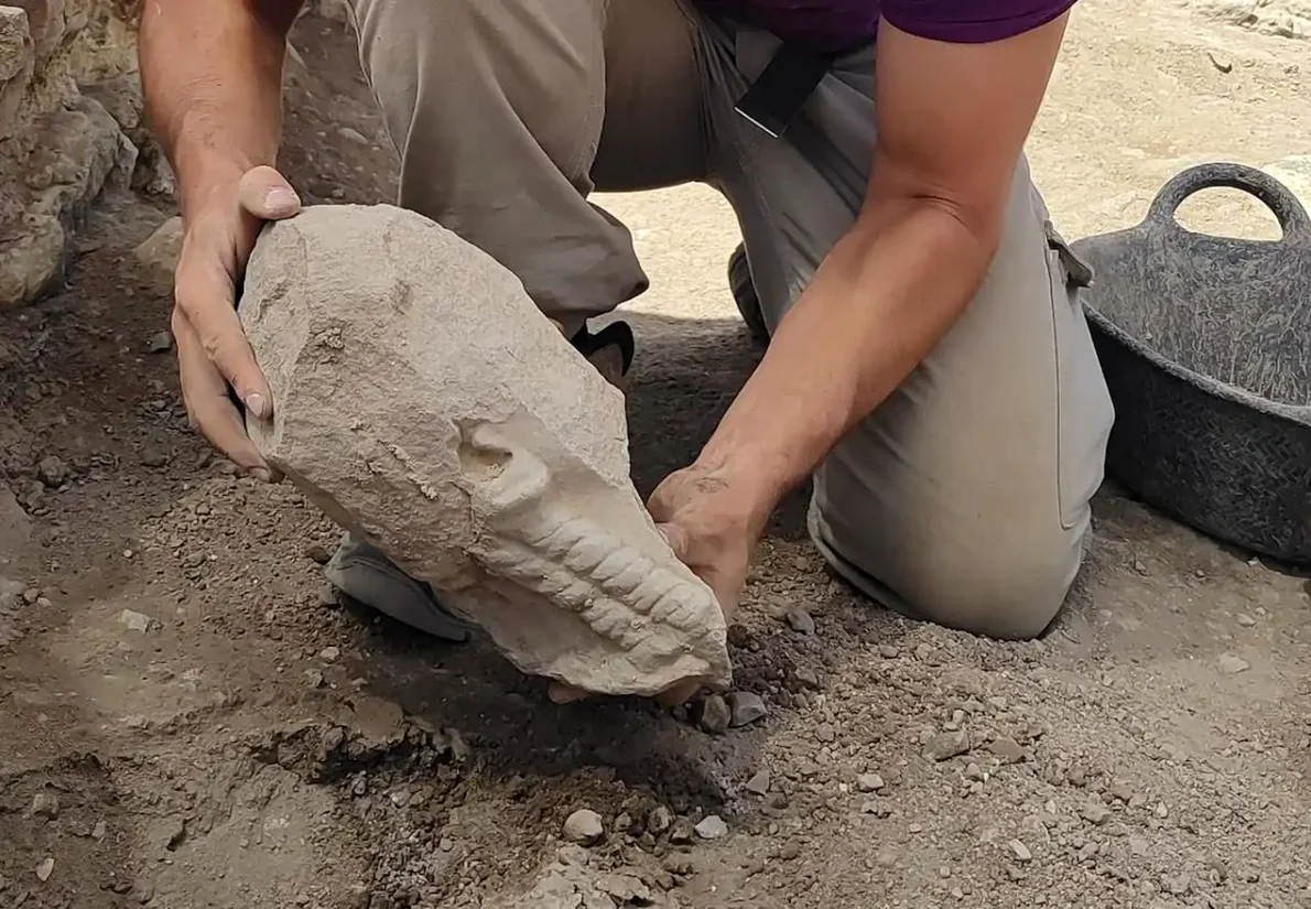 Capul de calcar vechi de aproximativ 2.400 de ani descoperit la Libisosa 