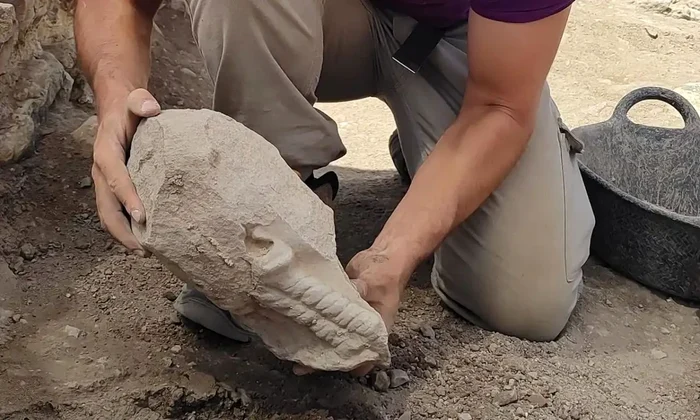 Capul de calcar vechi de aproximativ 2.400 de ani descoperit la Libisosa