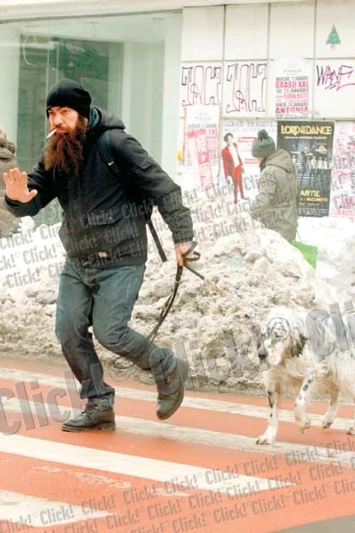 Cântăreţul traversează nestingherit pe roşu, în timp ce Setterul său se smuceşte în lesă (Fotografii: blitz)