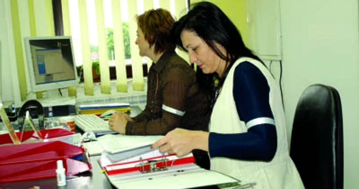 Hunedoara: Grevă japoneză la Garda de Mediu