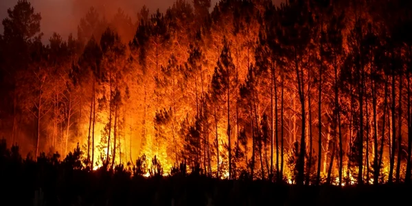 Incendii in Franţa FOTO AFP 