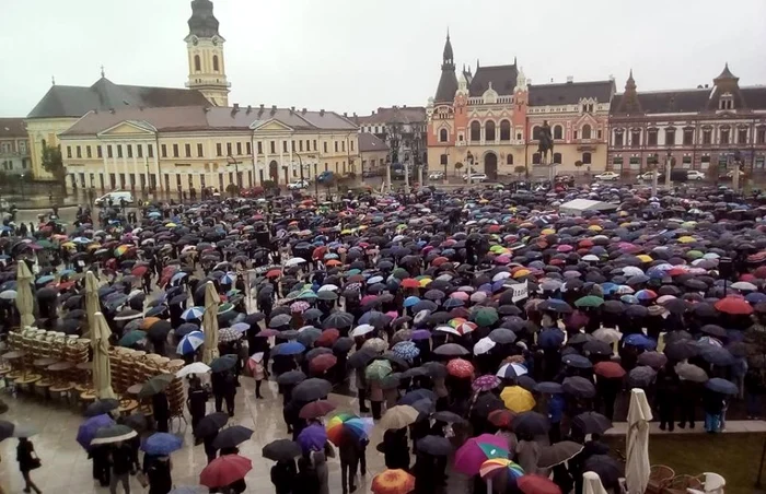 Miting pentru familie