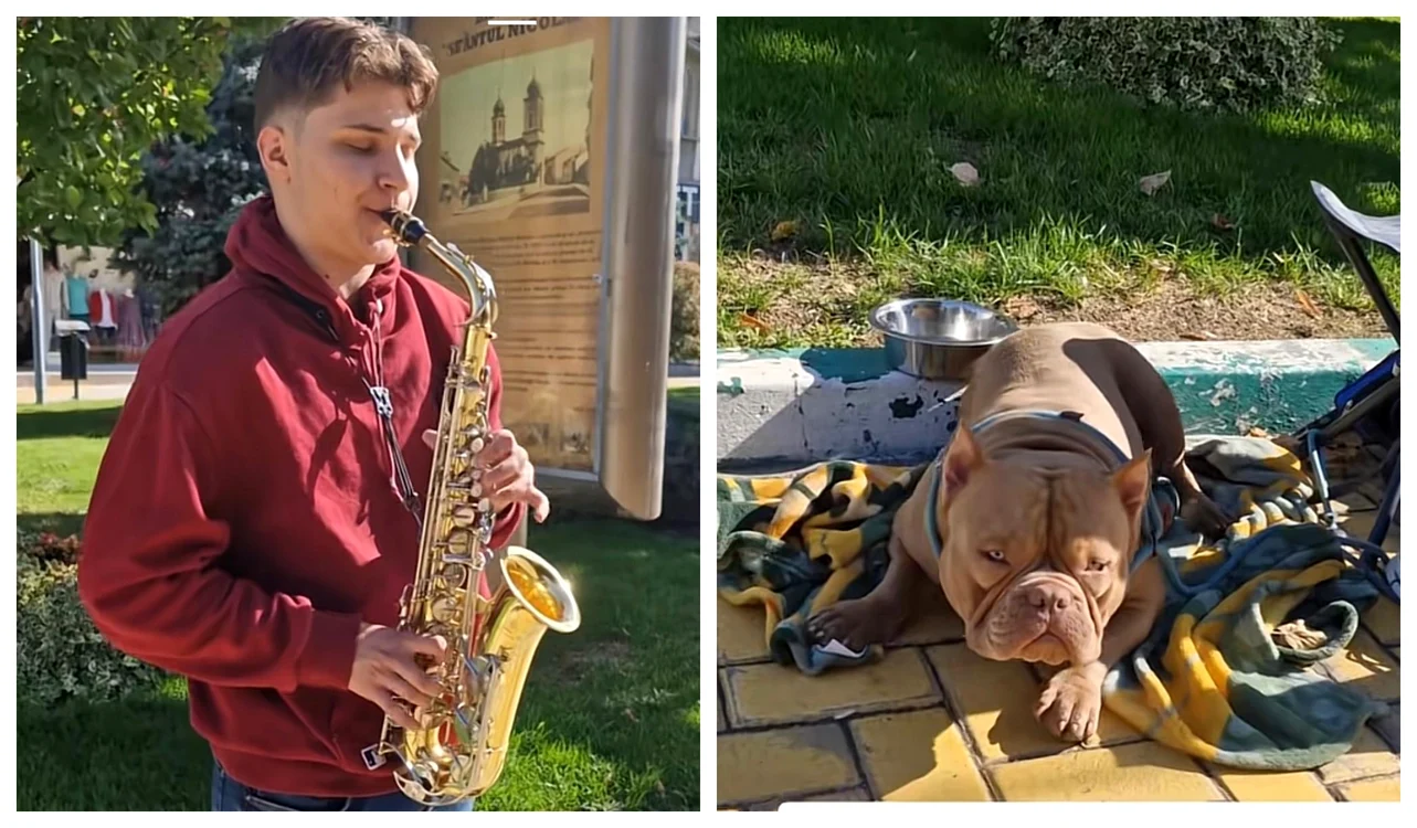 Tânărul care cântă la saxofon pentru a-și salva câinele / Foto: Colaj captură video 