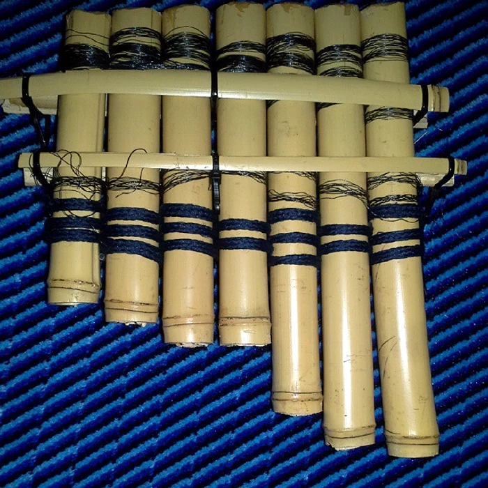 Acesta este naiul la care Pacha Man exersa în jungla de la "Sunt celebru, scoate-mă de aici"