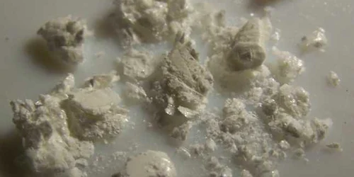 O jumătate de kilogram de cocaină a fost confiscată Foto: Arhivă Adevărul