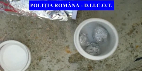 droguri db