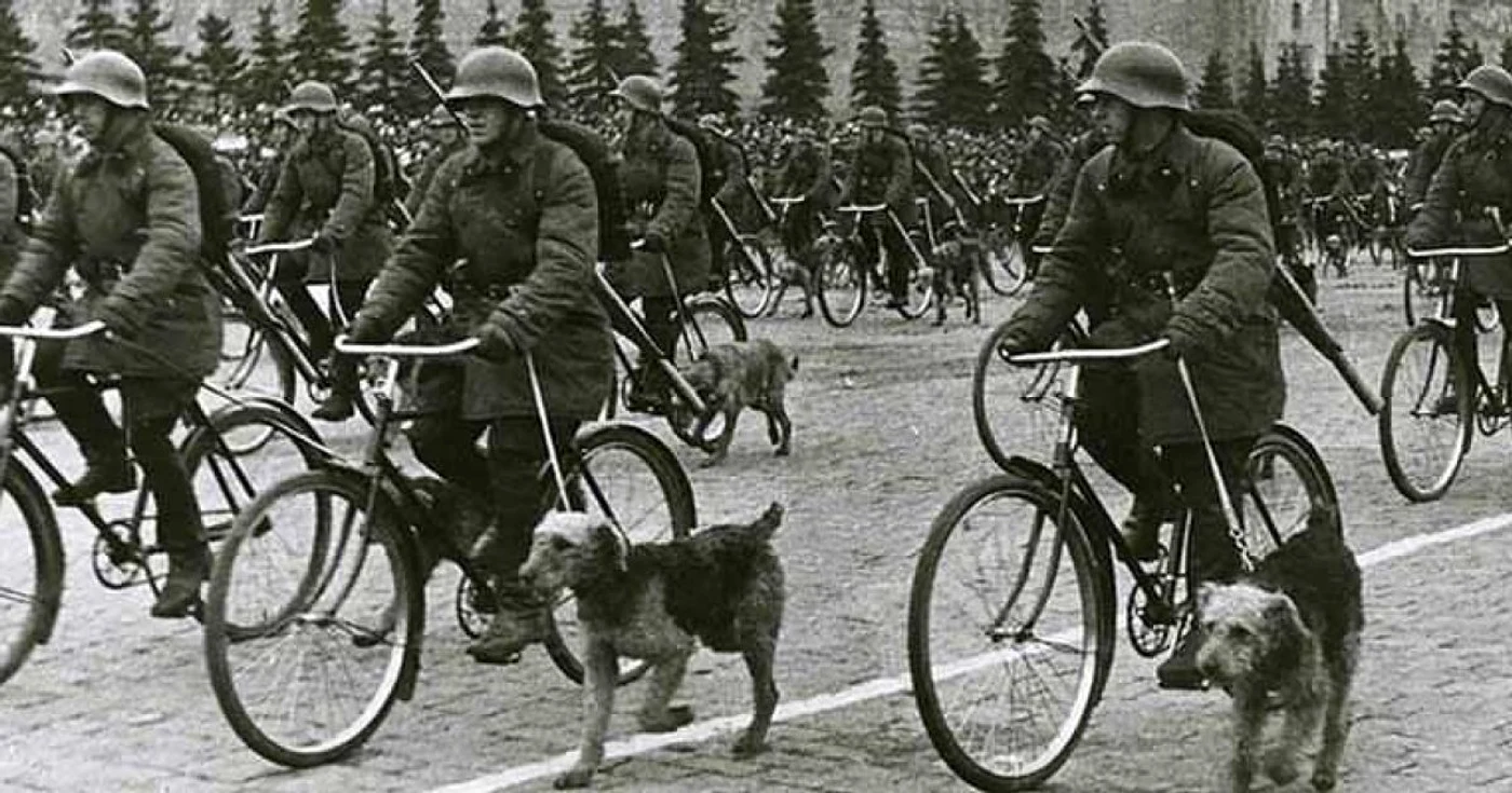 Sovieticii au ataşat bombe pe câini şi i-au dresat să fugă şi să se ascundă sub tancurile germane FOTO Business Insider