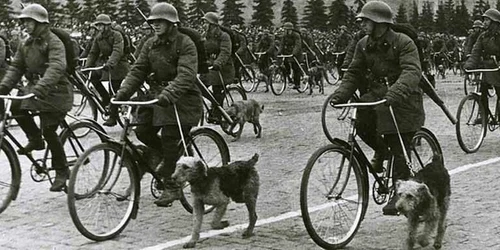 Cainii anti-tanc ai sovieticilor FOTO Business Insider