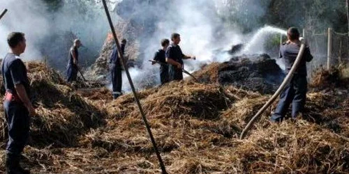 Bărbatul este cercetat pentru incendierea căpiţelor de fân din zona minieră Dâlja MIcă