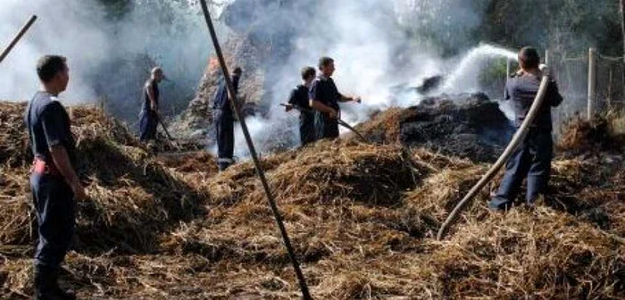 Bărbatul este cercetat pentru incendierea căpiţelor de fân din zona minieră Dâlja MIcă