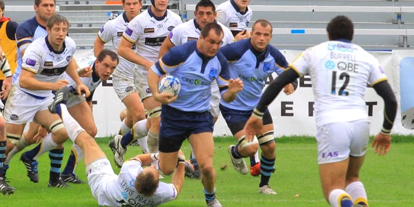 Daniel Carpo