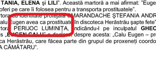 Extras din rechizitoriu