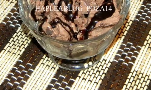 inghetata de ciocolata 14 jpeg