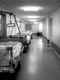 hol spital jpeg