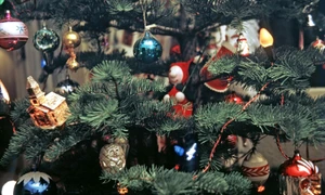 O nostalgie neșteptată jpeg