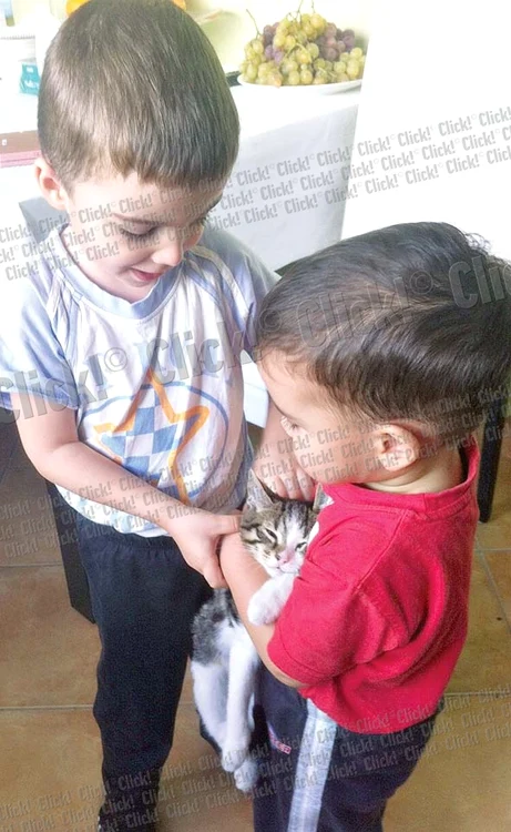 Maximus ţine motanul strâns în braţe