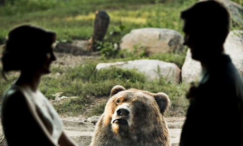 1 83319 original jpg jpeg