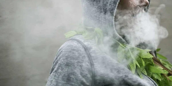 festival marijuana SUA REUTERS