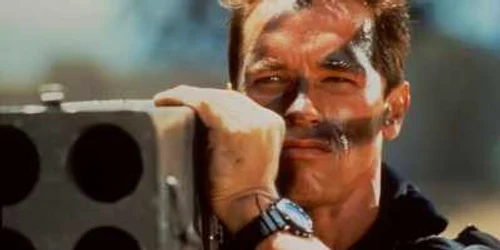 Arnold în acţiune