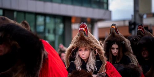 ursiiasau mihaimarian jpg