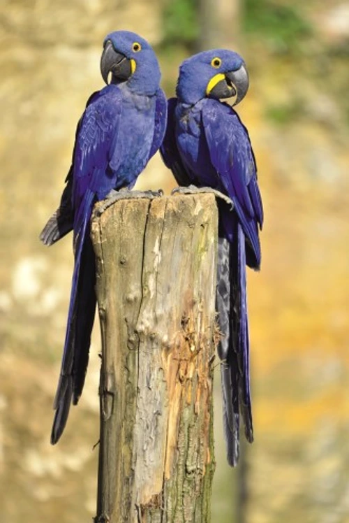 ad92e61d2e6b8cfa6c9001a9954bfe37 jpg jpeg