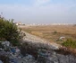 DSC06716 0 JPG