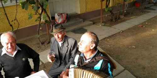 traian ziua