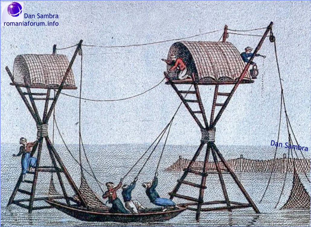 1850 Laurens jpg jpeg