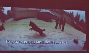 captura X crime bulgaria jpg