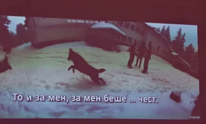 captura X crime bulgaria jpg