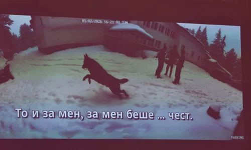 captura X crime bulgaria jpg