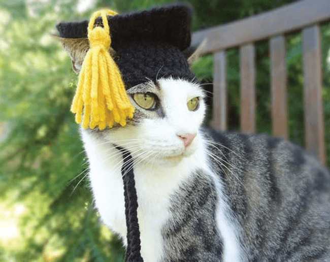 Content image