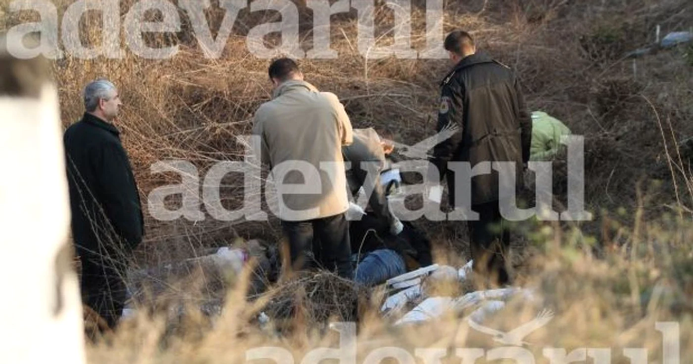 Microbuzul accidentat activa fără licență