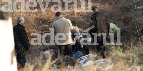 Microbuzul accidentat activa fără licență