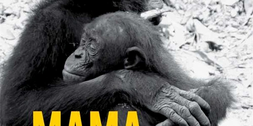 MAMA ULTIMA IMBRATISARE HUMANITAS