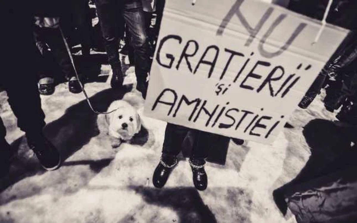 FOTO Silvana Armat
