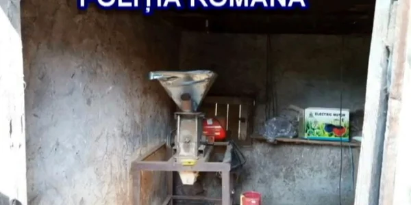 perchezitii tigari alba