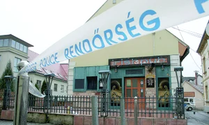 Cozma a fost ucis la 8 februarie 2009 jpeg