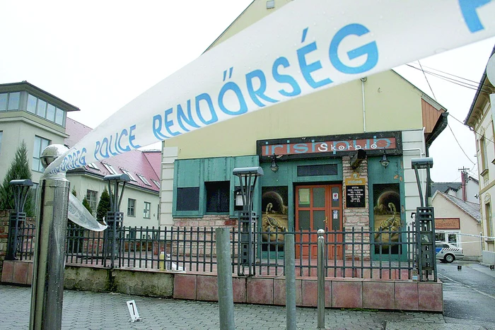 Cozma a fost ucis la 8 februarie 2009