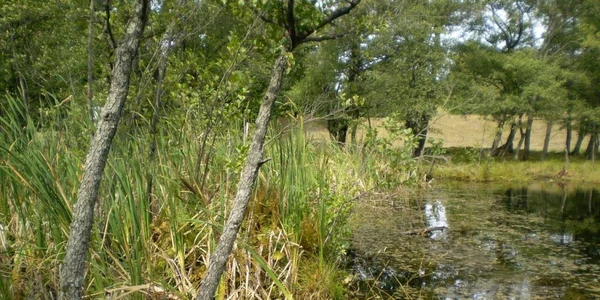lacul balbaitoarea foto evaleateleajenului.ro