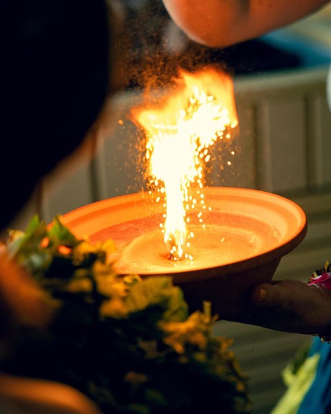 Festivalul Herbarium, cea mai tare experiență de relaxare, care a uimit turiștii străini
