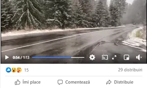 ninsoare 0 jpeg